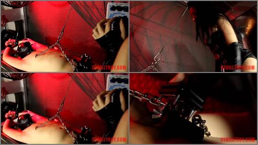 Gloves – Cybill Troy FemDom Anti-Sex League – Devices of Torture