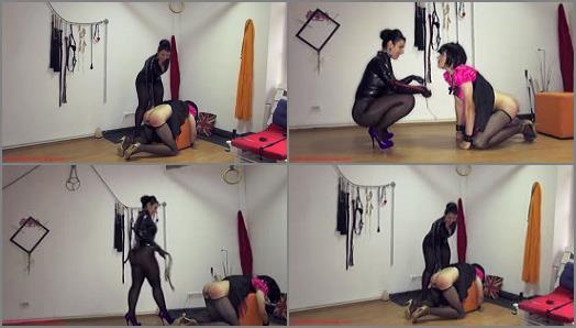 Mistress Ezada Sinn  Young sissy first time whipping  preview