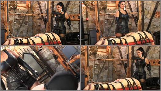 SADO LADIES Femdom Clips  Helpless And Whipped Hard   Mistress Ezada preview