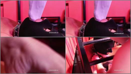 Mistress Iside  FOOT GAGGING WITH SWEATY FEET  preview