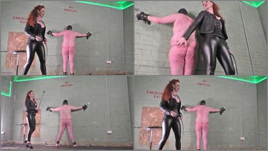 Mistress Lady Renee  Basement Bullwhipping  preview
