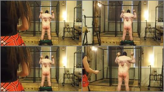 OBEY ANGELINA  Fat pig caned badly preview