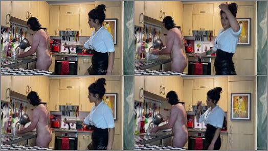 Mistress Sophia Sahara  Inspecting My Kitchen Bitch Anal Hook And Collar Tigh preview