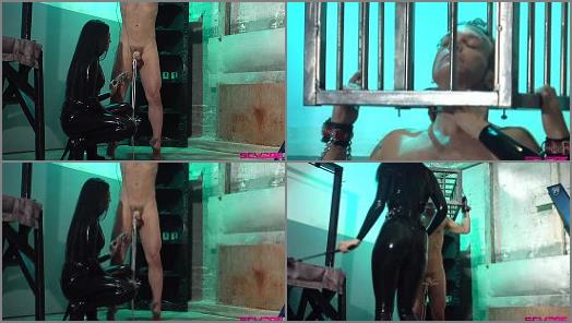 Cage – Severe Sex Films – Date With A Dominatrix Cybill Troy (2 Of 2)