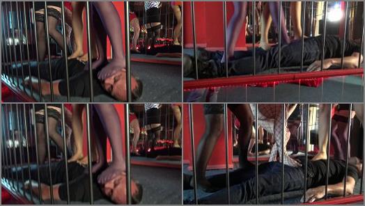 Femdom Austria  Trampling Jumping Show In Fetish Club preview