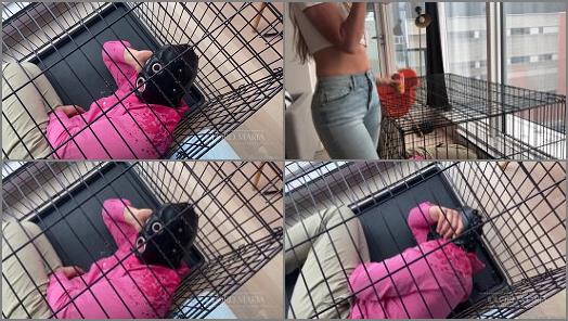 Lord Goddess Maria Release 2021 Degrading My Caged Slave preview