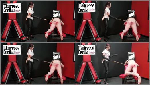 Mature Mistress Caning – Maitresse Cecilia – Brutal Cane Punishment For The Panties Thief And Wanker Part 2