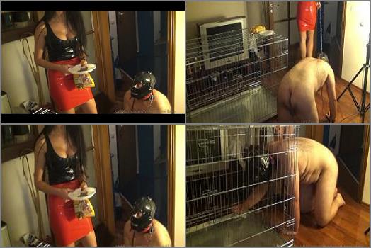 Mistress Antonella  Dog Training For My Slave preview