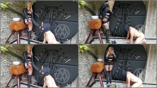 Mistress Whiplash  WL1577  Juicy Boot Worship preview