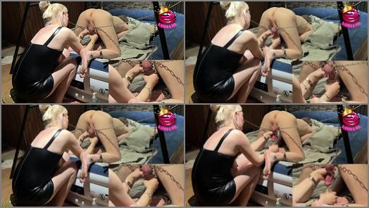 bjqueenandrod handjob by mistress Chained by balls  edged and ruined preview